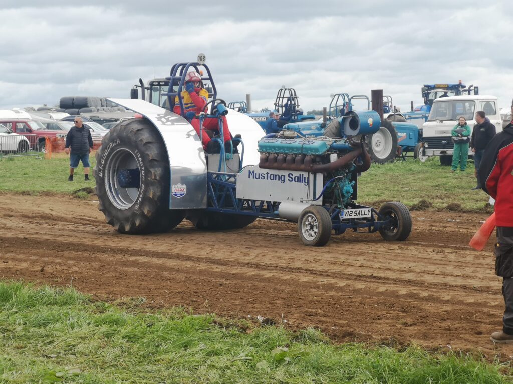 Honiton Show