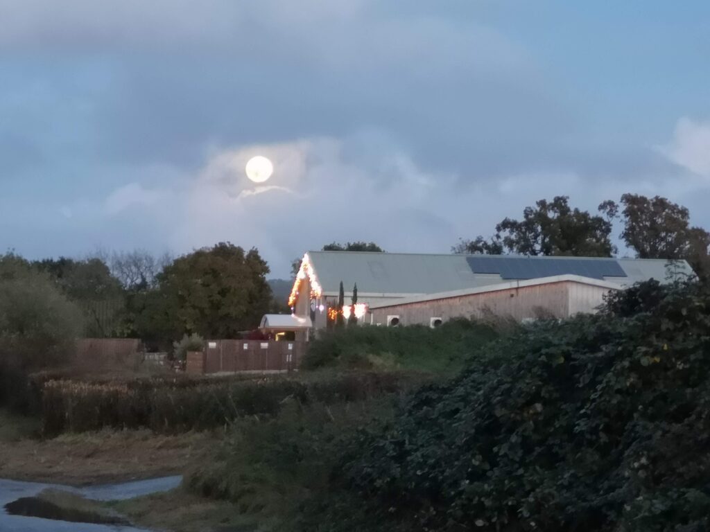 Moonlight over Gittisham